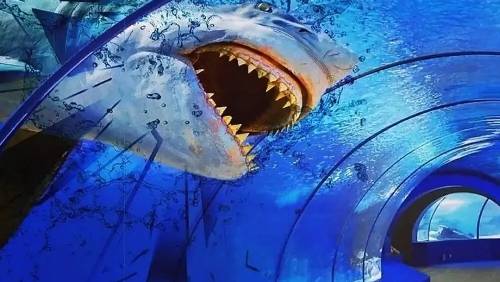 tour antalya aquarium 18